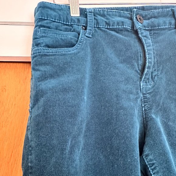 Edyson Corduroy Teal Skinny Pants - Picture 2 of 5
